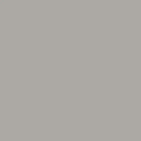 Leather Colour Cream - Ash