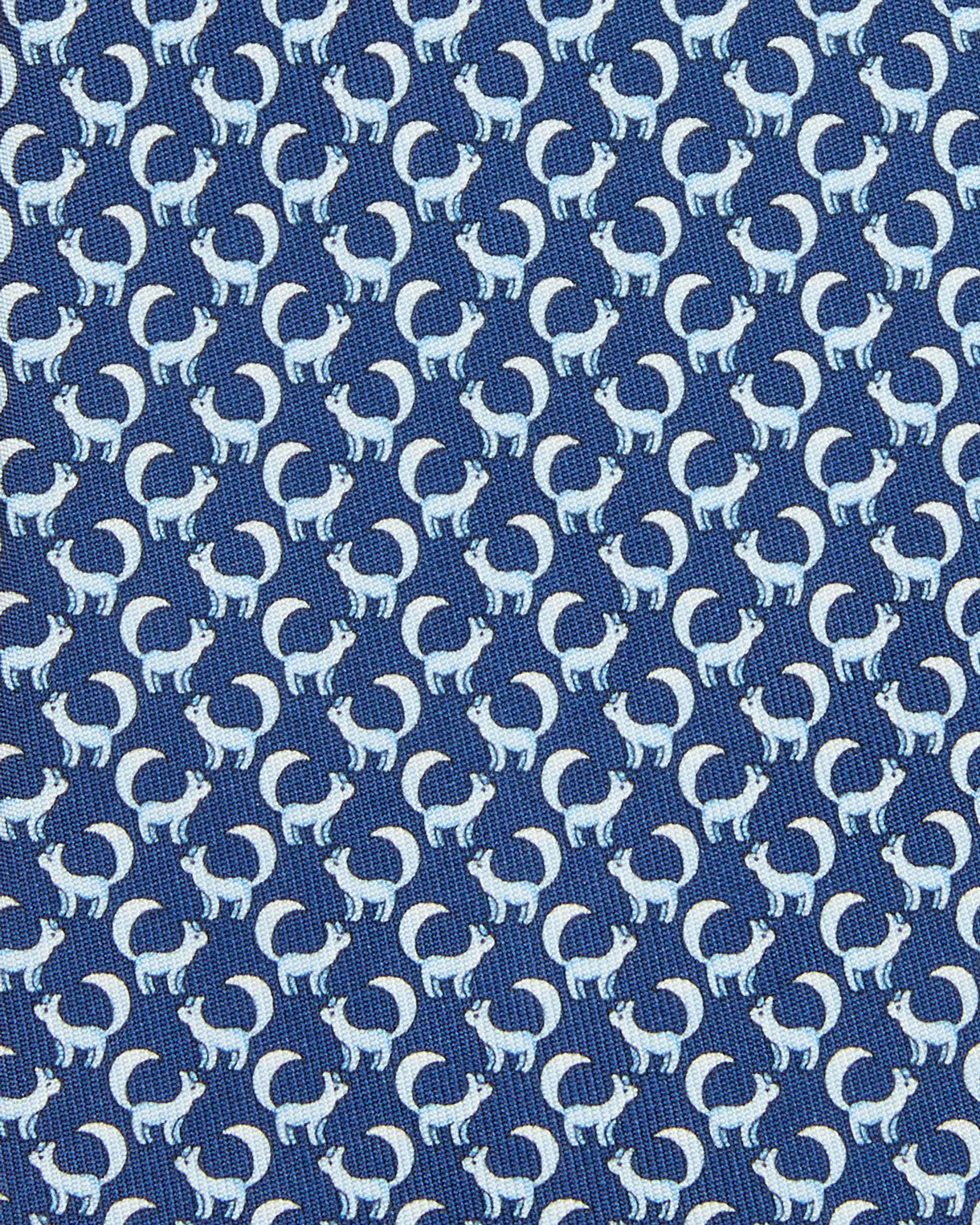 Silk Print Tie in Navy/Sky Arctic Fox